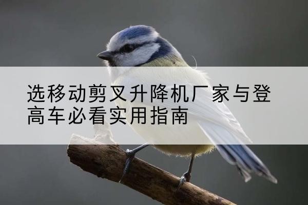 兴业电动升降机厂家-选移动剪叉升降机厂家与登高车必看实用指南