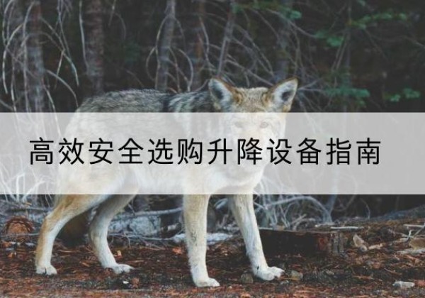兴业升降货梯厂家推荐-*安全选购升降设备指南