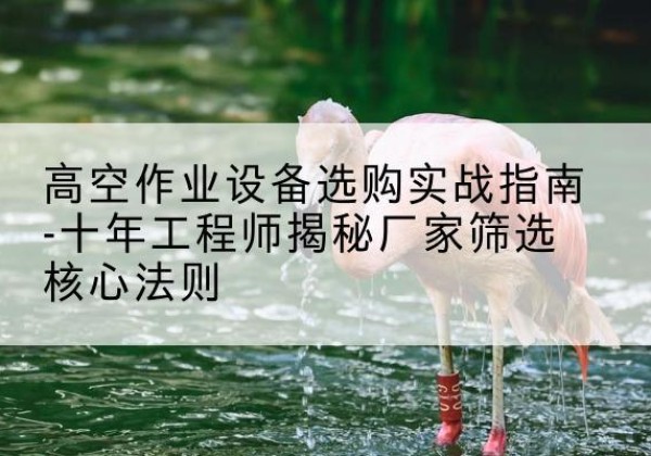 兴业剪叉式升降机厂家-高空作业设备选购实战指南-十年工程师揭秘厂家筛选核心法则