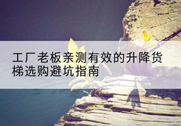 兴业升降货梯怎么选-工厂老板亲测有效的升降货梯选购避坑指南